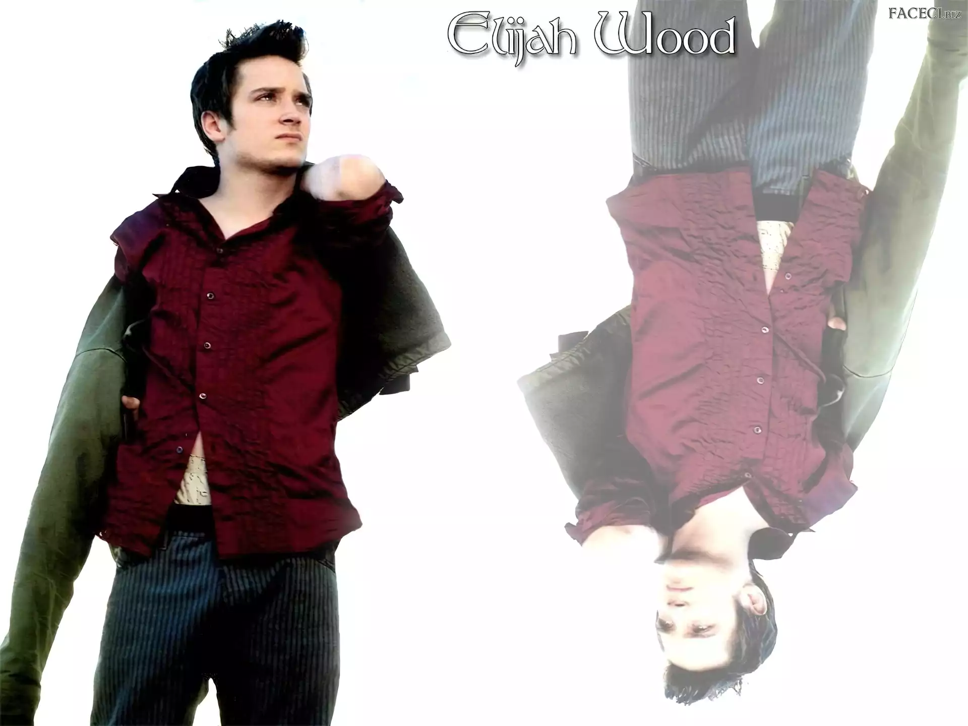 czerwona koszula, Elijah Wood